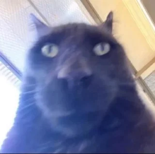 🗿 Треш, стікер Telegram 9 з 53