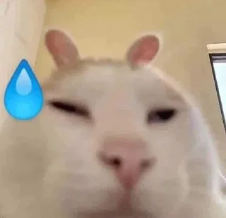 😅 Котеке, стікер Telegram 10 з 46