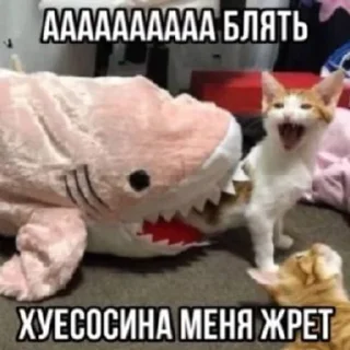 🌸 Тычмоня<33 2.0, стікер Telegram 22 з 83