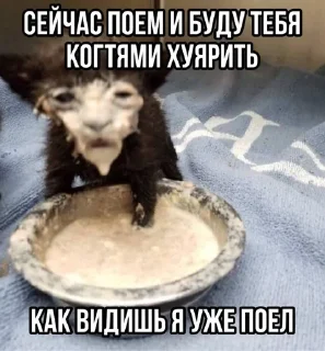 🌸 Тычмоня<33 2.0, стікер Telegram 19 з 83