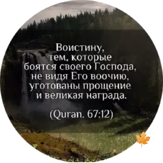 ✨ Знание, стикер Telegram 5 из 30