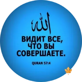 ✨ Знание, стикер Telegram 2 из 30