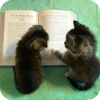 🐱 Intj @cosmos_wk ::, стікер Telegram 7 з 120