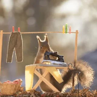 Squirrel pack