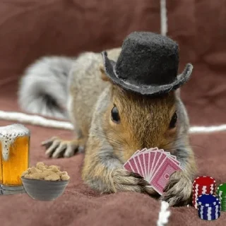 🎰 Squirrel pack, стикер Telegram 5 из 11