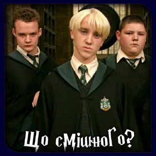 🤨 Гаррі Поттер|@stickersempaiua, стікер Telegram 16 з 100