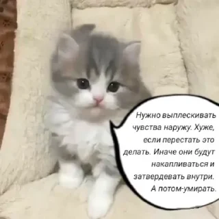 🧠 Голые бляди.   @amare_shit, Telegram sticker 6 of 120