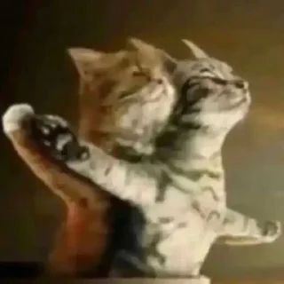 ❤️ котята от @alenkaappp, sticker Telegram 21 sur 75