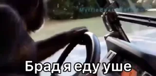 🌟 Bibizans, стикер Telegram 12 из 85