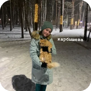 🐱 ::тапотулькина🙌🏻, sticker Telegram 18 sur 21