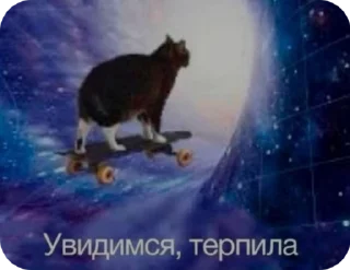 🫵 Позор 23 года, стікер Telegram 7 з 41