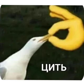 👌 Для справжніх чоловіків @Xenta, Telegram sticker 11 of 75