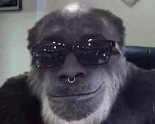 Жупы быдло