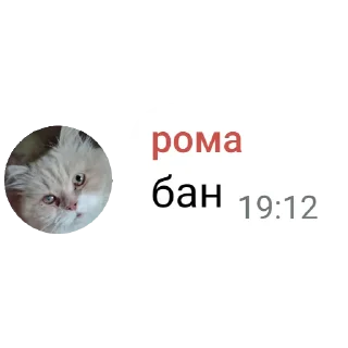 😠 рома @roma_bog, стикер Telegram 23 из 32