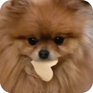 ❤ Мichelle, sticker Telegram 11 sur 14