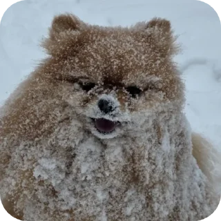 👍 Мichelle, sticker Telegram 10 sur 14