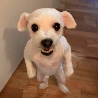 😡 собаки, Telegram sticker 9 of 120