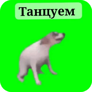 🐶 ААаааа сохрани, стікер Telegram 16 з 106