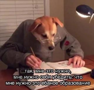 💀 бебе, sticker Telegram 7 sur 120