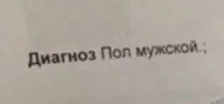 😋 чоза, стикер Telegram 18 из 46