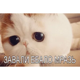 😇 Милые мрази, sticker Telegram 4 sur 23
