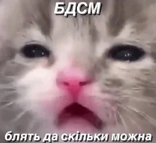 🌟 крінжовий розлад особистості, стікер Telegram 16 з 120