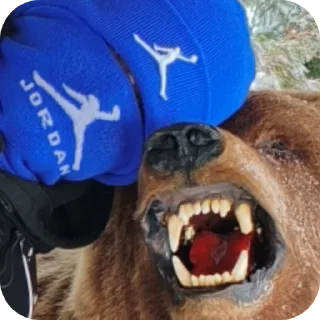 🐶 акрошка by @offstikbot, Telegram sticker 7 of 28