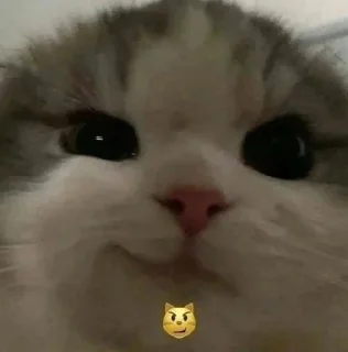 🌟 lops, стикер Telegram 17 из 43