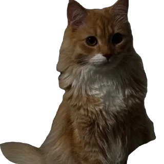 🫥 феня, стікер Telegram 9 з 24