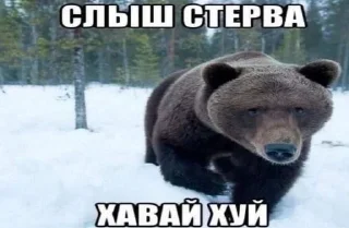 🤬 Сосите хуй, Telegram sticker 15 of 32