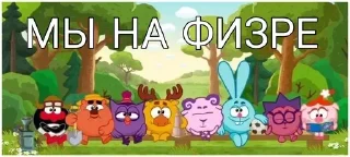 ⚽ СМЕШАРИКИ, КАК СМЫСЛ ЖИЗНИ, sticker Telegram 15 sur 120