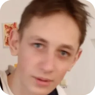 🖥 Туда ботов, sticker Telegram 18 sur 19