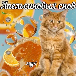 🌟 спкнч, стікер Telegram 3 з 29