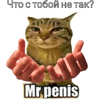 🙁 Mr_penis, стікер Telegram 23 з 38