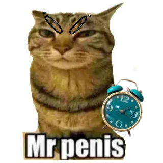 ⏰ Mr_penis, стікер Telegram 15 з 38