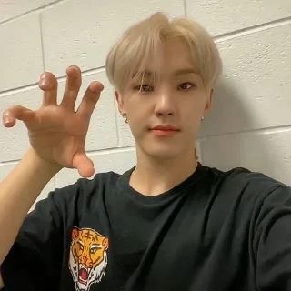 🐯 Hoshi, стікер Telegram 18 з 31
