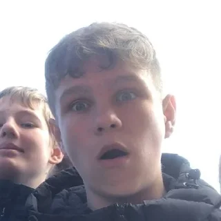 😧 бебрятки 2, стікер Telegram 7 з 42