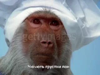 Бибизяны 2 by @iosifgitler