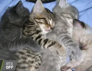 ☺️ котики, Telegram sticker 23 of 120