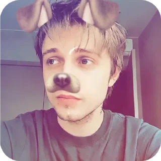 😎 Адольф Гитлер, sticker Telegram 18 sur 25