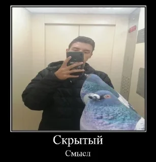 👍 Дизя, Telegram sticker 9 of 23