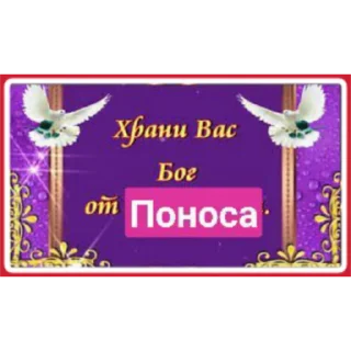 🌼 Открытки от @mem_hunter, стикер Telegram 3 из 14