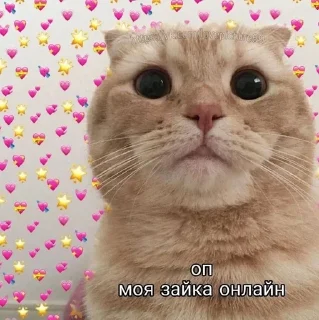🌟 подсветка кчау, Telegram sticker 4 of 15