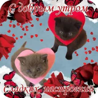 🐱 С добрым утром, sticker Telegram 15 sur 40