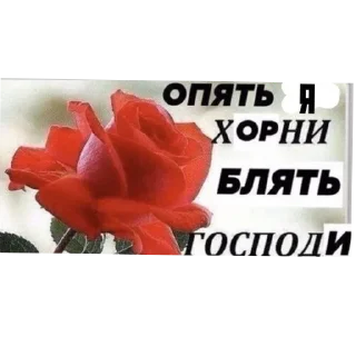 🌸 писюн, стікер Telegram 19 з 44