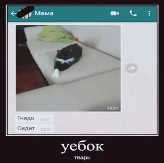 🙂 Дичь по жизни, стікер Telegram 20 з 39