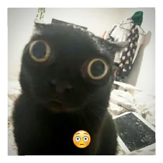 😳 бляя куда я жмал, Telegram sticker 20 of 36