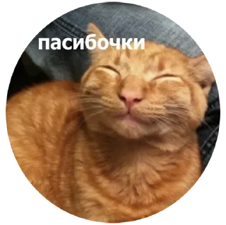☺️ Шось новеньке, Telegram sticker 9 of 15