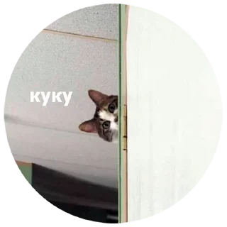 😺 Шось новеньке, Telegram sticker 8 of 15