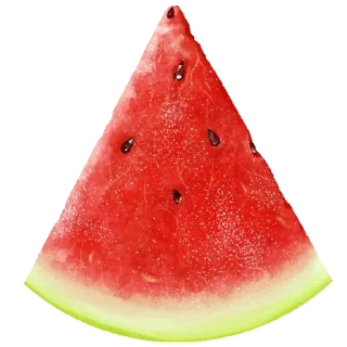 🍉 F🥝🍪D! by @HorilaGorilla, стікер Telegram 7 з 97